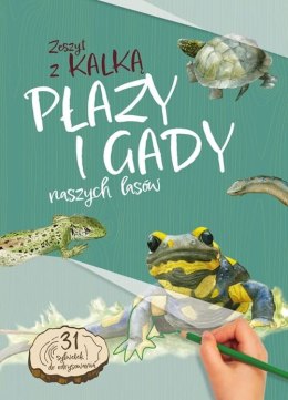 Płazy i gady naszych lasów. Zeszyt z kalką wyd. 2025