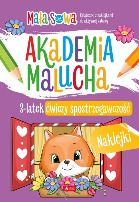 3 latek ćwiczy spostrzegawczość. Akademia malucha 3 latek ćwiczy spostrzegawczość. Akademia malucha