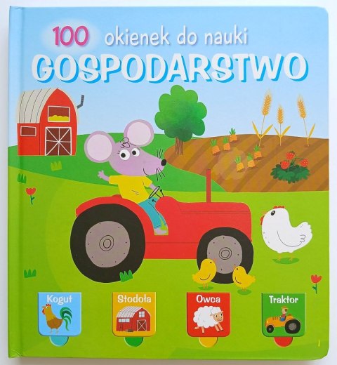 Gospodarstwo. 100 okienek do nauki Gospodarstwo. 100 okienek do nauki
