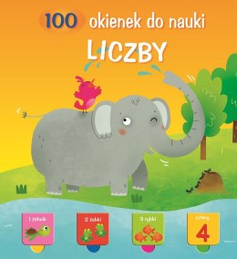 Liczby. 100 okienek do nauki