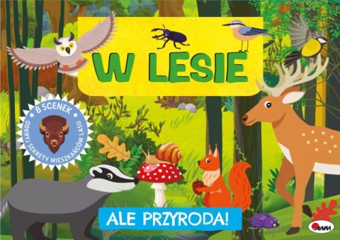 W lesie. Ale przyroda W lesie. Ale przyroda