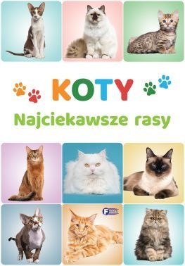 Koty. Najciekawsze rasy