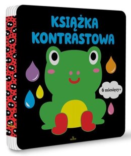 Książka kontrastowa 6+