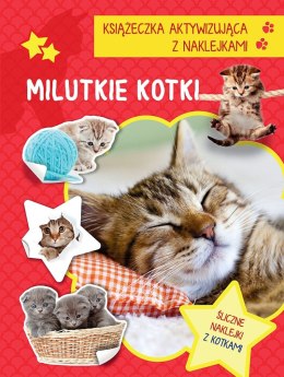 Milutkie kotki. Książeczka aktywizująca z naklejkami
