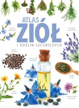 Atlas ziół i roślin leczniczych