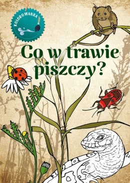 Co w trawie piszczy. Kolorowanka