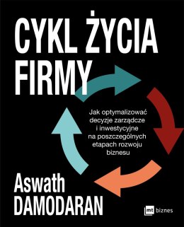 Cykl życia firmy. Jak optymalizować decyzje zarządcze i inwestycyjne na poszczególnych etapach rozwoju biznesu