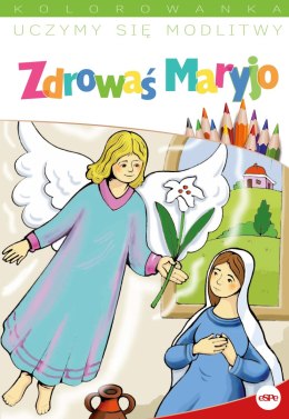 Uczymy się modlitwy. Zdrowaś Maryjo