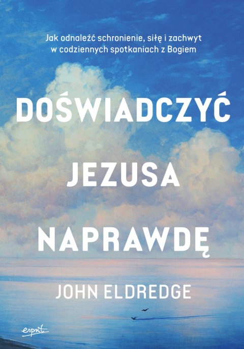 Doświadczyć Jezusa naprawdę. Jak odnaleźć schronienie, siłę i zachwyt w codziennych spotkaniach z Bogiem