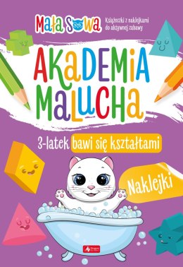 3 latek bawi się kształtami. Akademia malucha