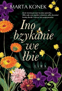 Ino bzykanie we łbie