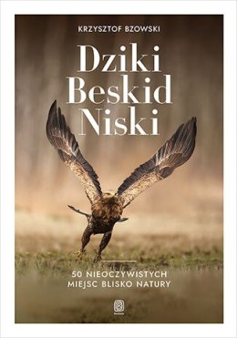 Dziki Beskid Niski. 50 nieoczywistych miejsc blisko natury