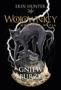Gniew burzy. Wojownicy. Mroczna wizja