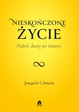 Nieskończone życie. Podróż duszy po śmierci. Życie po życiu. Tom 1