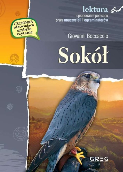 Sokół. Lektura z opracowaniem Sokół. Lektura z opracowaniem